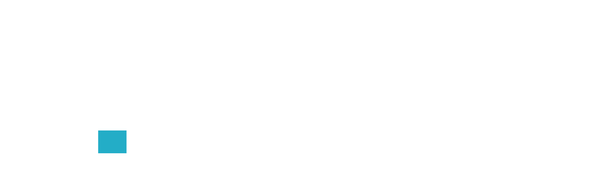 תורג'מן גרופ לוגו